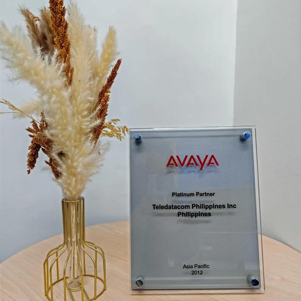 Platinum Partner of Avaya